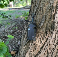 Alarme percutante cartouche calibre 12