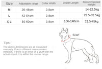 Au choix Laisse collier tactique ultra résistant pour chien