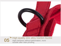 Au choix Laisse collier tactique ultra résistant pour chien