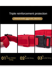 Au choix Laisse collier tactique ultra résistant pour chien