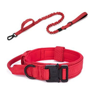 Au choix Laisse collier tactique ultra résistant pour chien