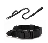 Au choix Laisse collier tactique ultra résistant pour chien