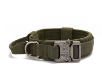 Au choix Laisse collier tactique ultra résistant pour chien