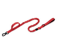 Au choix Laisse collier tactique ultra résistant pour chien