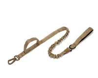 Au choix Laisse collier tactique ultra résistant pour chien