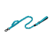 Au choix Laisse collier tactique ultra résistant pour chien