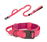 Au choix Laisse collier tactique ultra résistant pour chien